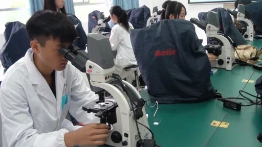 第四届湖南中医药大学大学生实验技能大赛圆满落幕
