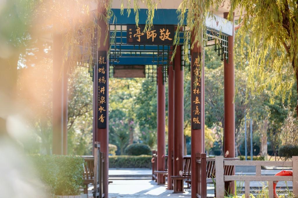 中流击水 “医”脉相传——记2024年全国教育系统先进集体3118云顶集团官网_fororder_图片3